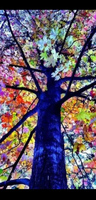 Colorful autumn tree with vibrant blue trunk.