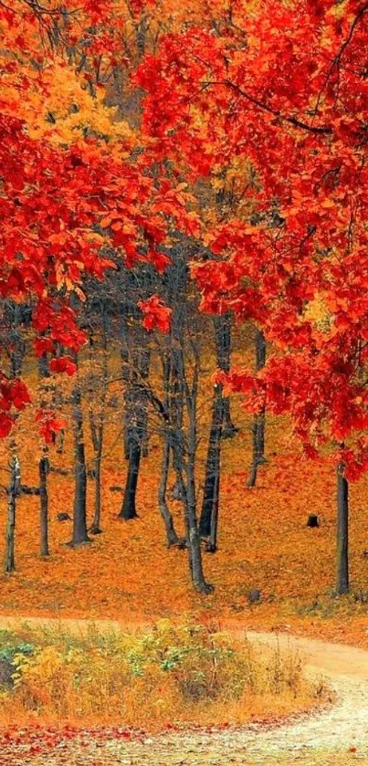 Autumn forest path with vibrant red leaves, perfect for phone wallpaper.