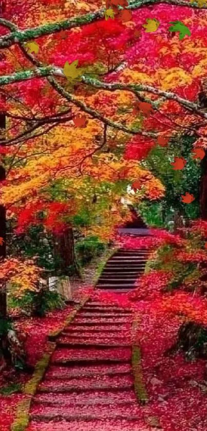 Autumn forest path with vibrant red and orange leaves.