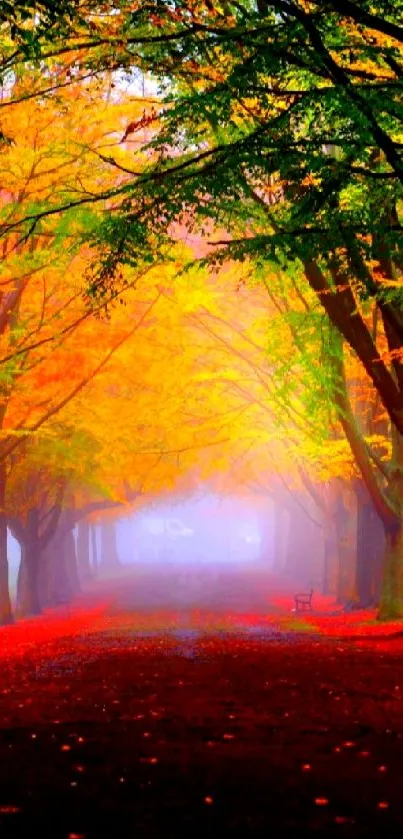 Vibrant autumn forest path with golden leaves and trees.