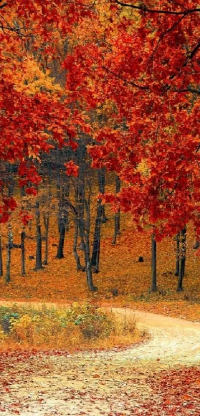 Scenic autumn forest path with vibrant red and orange leaves creating a serene atmosphere.