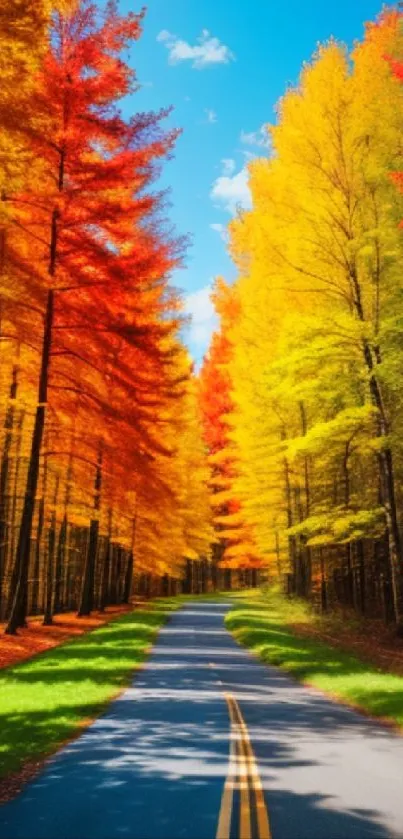 Vibrant autumn forest path with golden and red leaves under a blue sky.