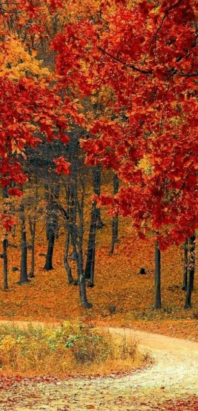 Autumn forest path with red foliage and winding trail.