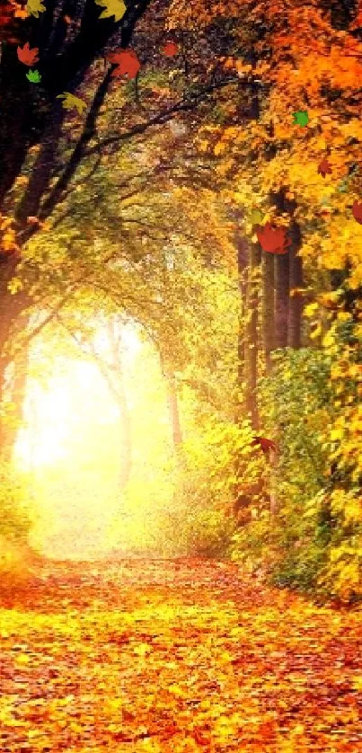 A vibrant autumn forest path with golden leaves and sunlight.