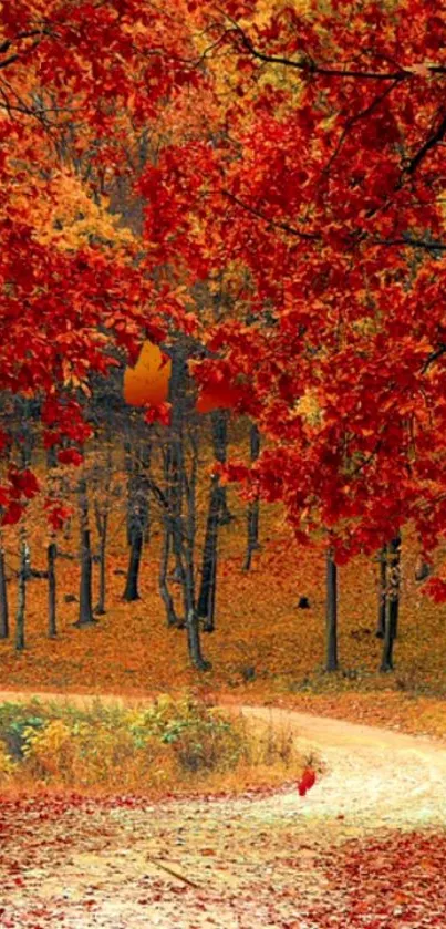 Vibrant red autumn leaves in forest path.