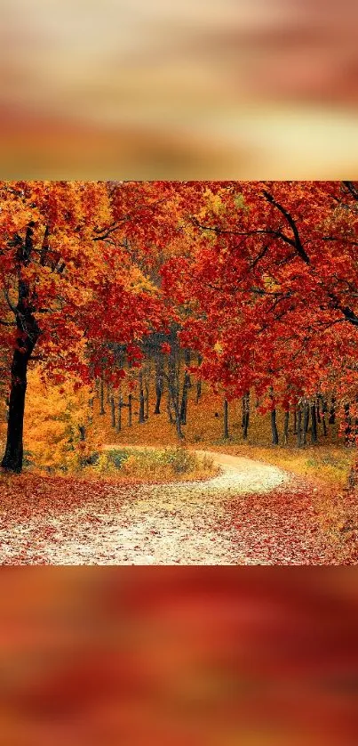 Vibrant forest path with autumn leaves in red and orange hues as mobile wallpaper.