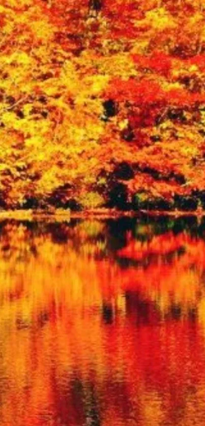 Stunning autumn forest with reflection in water.