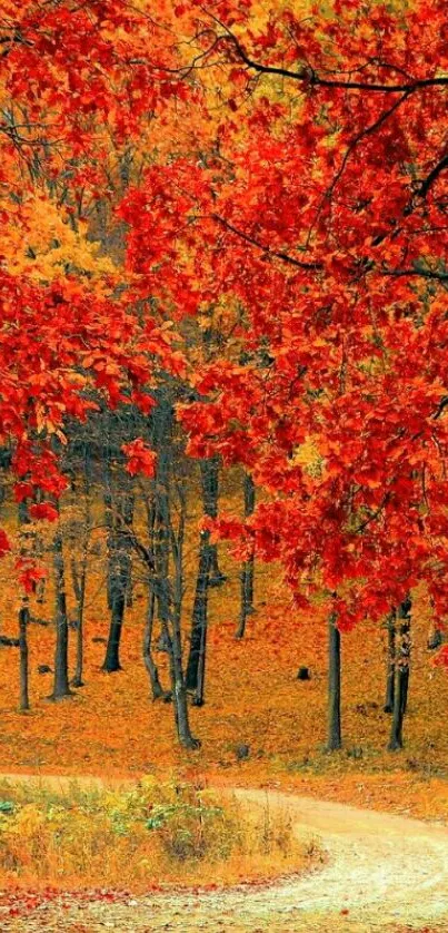 Autumn forest with vibrant red leaves and a scenic path.