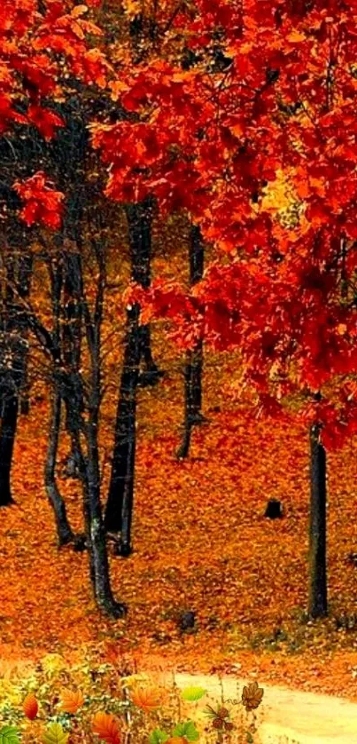 Vibrant autumn forest with colorful foliage