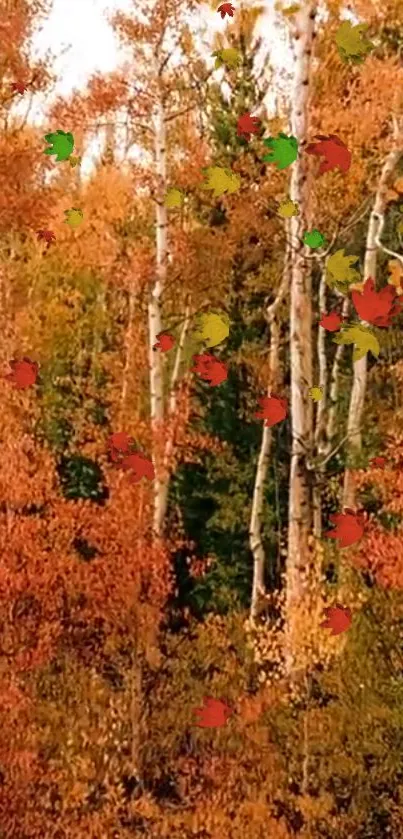 Colorful autumn forest with orange and green leaves.