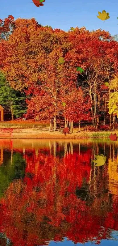 Lake reflection with vibrant autumn foliage in stunning colors, perfect for wallpaper.