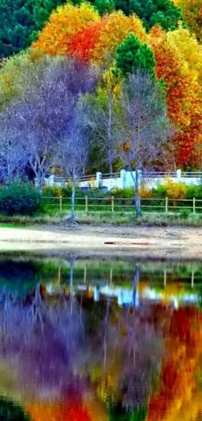 Vibrant autumn trees reflecting in a lake.