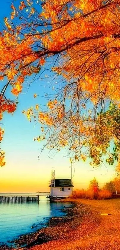 Lakeside view with vibrant autumn leaves and golden colors.