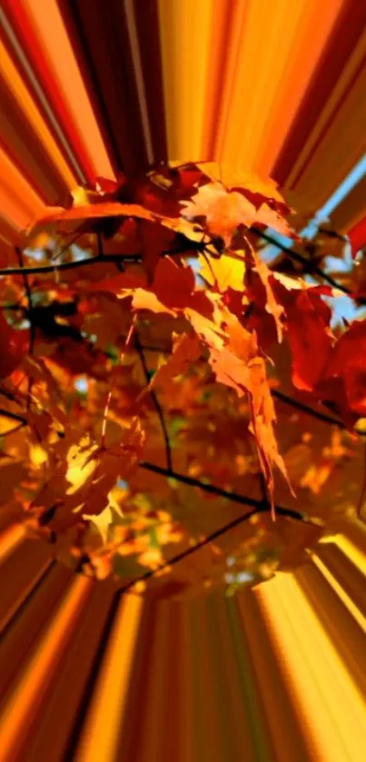 Bright orange autumn leaves in a vibrant spiral effect on a mobile wallpaper.