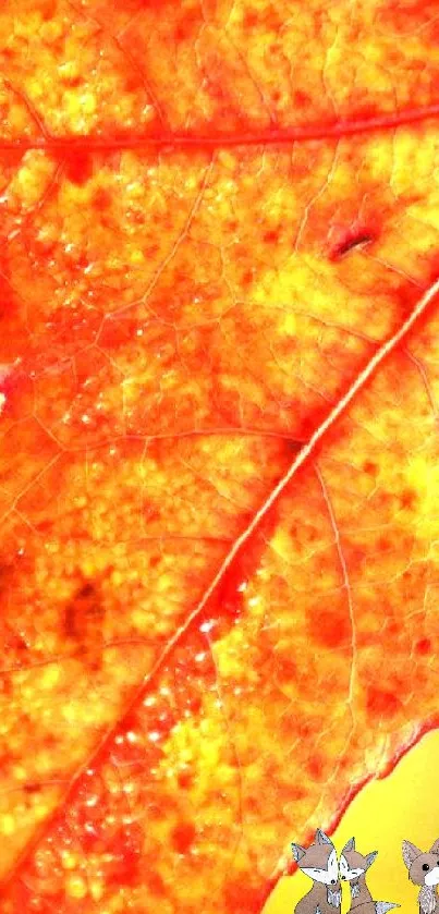 Close-up of vibrant orange-yellow autumn leaf design.