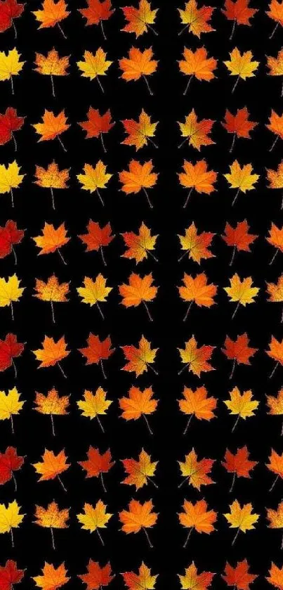 Colorful autumn leaves on a black wallpaper background.