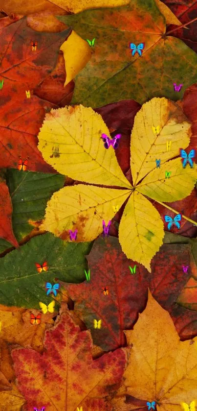 Colorful autumn leaves wallpaper with vibrant fall colors dominating the design.