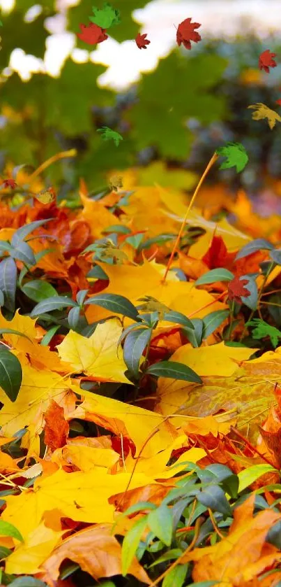 A vibrant autumn leaf wallpaper with bright yellow and orange leaves over green foliage.