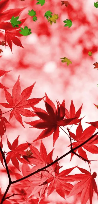 Red autumn leaves wallpaper with bokeh.