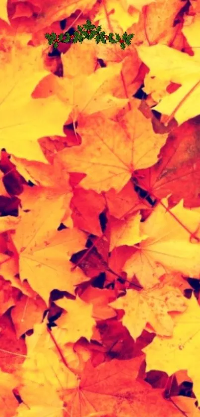 Vibrant orange and red autumn leaves pattern on smartphone wallpaper.