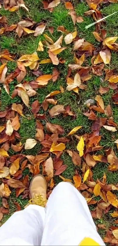 Vibrant orange autumn leaves on grass with foot.