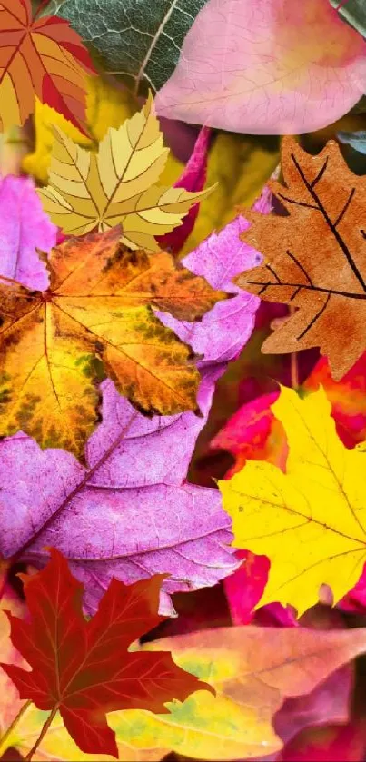 Close-up vibrant autumn leaves on phone wallpaper.