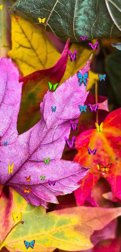 Colorful autumn leaves wallpaper for mobile phone.