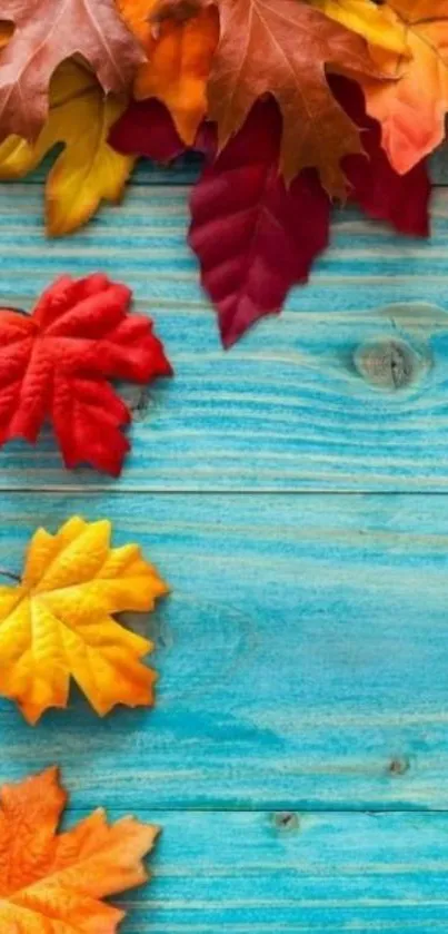 Vibrant autumn leaves on blue wooden background.