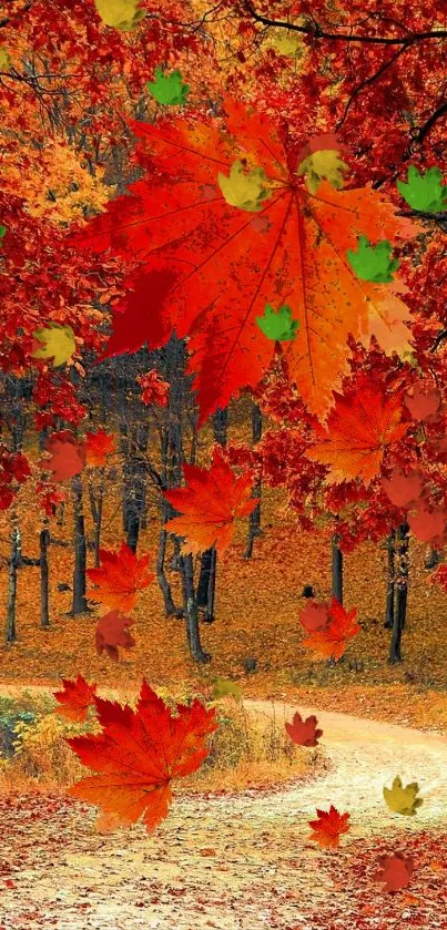 Vivid orange and red autumn leaves on a forest path.