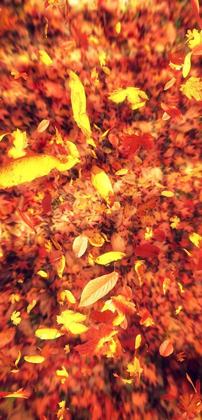 Vibrant autumn leaves swirling dynamically in orange hues.