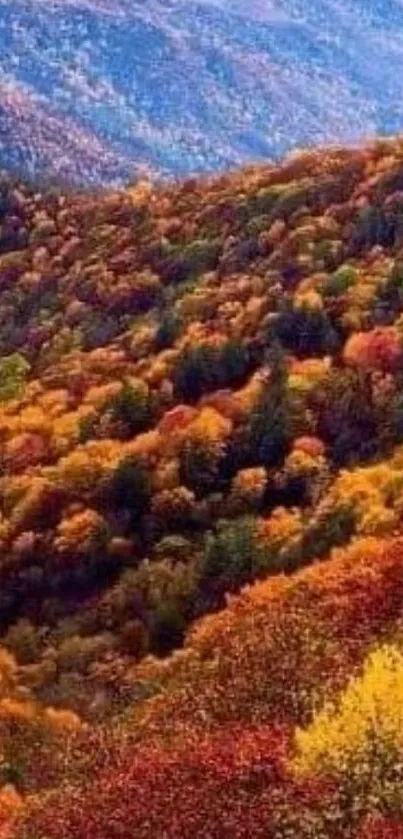 Colorful autumn mountain landscape with vibrant foliage.