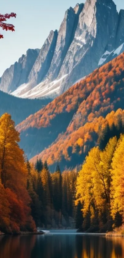 Vibrant autumn mountain landscape with colorful trees and serene reflection.