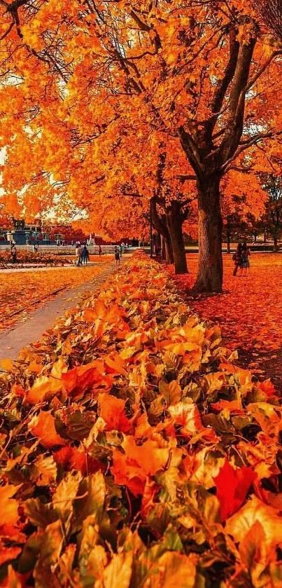 Vibrant orange trees line a scenic park pathway in autumn.