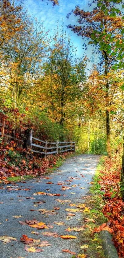 Autumn path with colorful foliage in a forest setting, ideal mobile wallpaper.