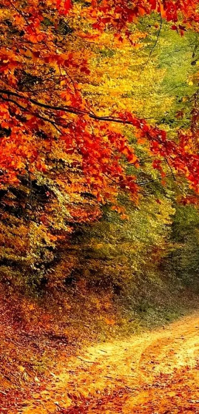 Mobile wallpaper of an autumn forest path with vibrant red leaves.