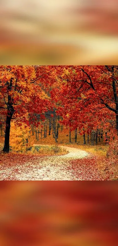 Serene autumn path with vibrant orange foliage.