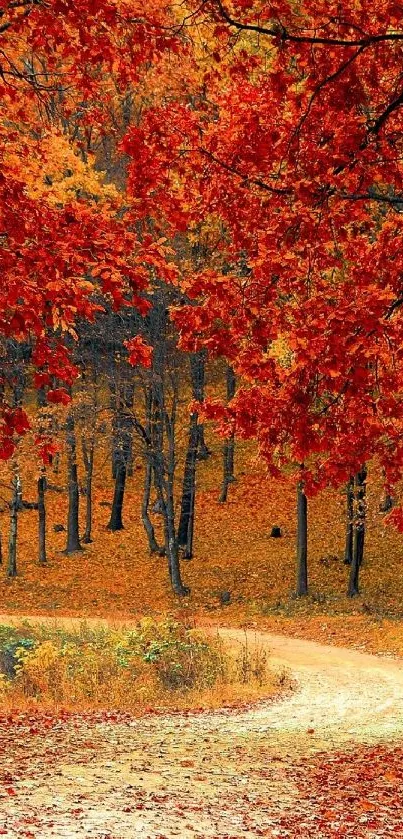 A winding path through a vibrant forest with red and orange autumn leaves.