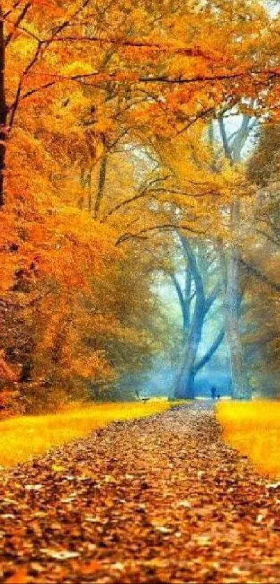 Vibrant autumn forest with fallen leaves on a path.