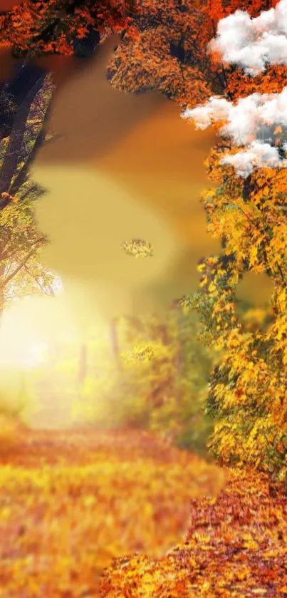 Autumn forest path with golden leaves and sunlight in vibrant orange hues.