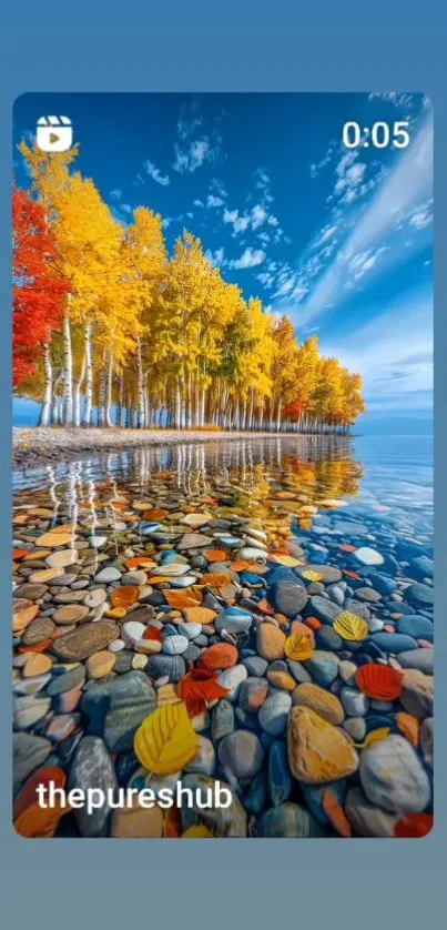 Colorful autumn trees reflected in a lake.