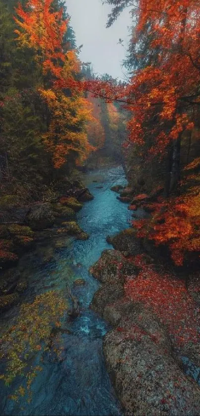 Serene autumn river flowing through vibrant forest with colorful leaves.