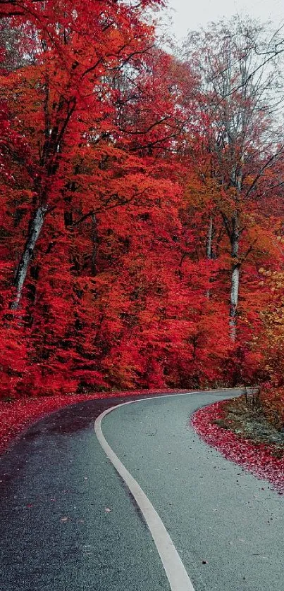 Winding road through vibrant red autumn forest with colorful leaves.