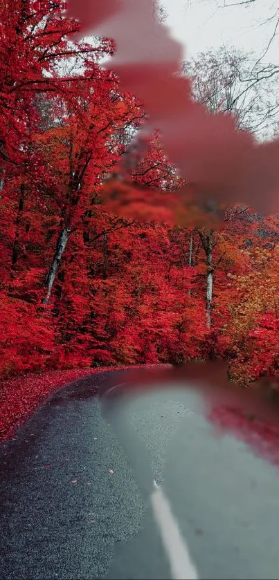 Vibrant autumn road with fiery red foliage and winding path.