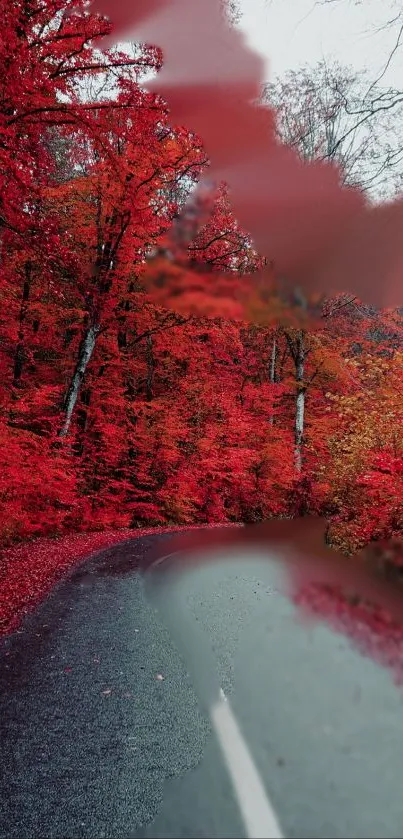 Autumn road with vibrant red foliage and a clear sky.