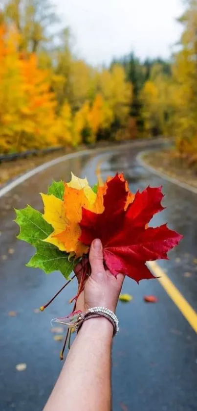 Vibrant autumn leaves on a winding road.