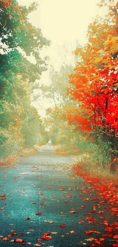 Vibrant autumn road with colorful leaves on path.