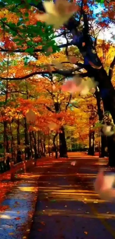 Vibrant autumn road with colorful trees and falling leaves.