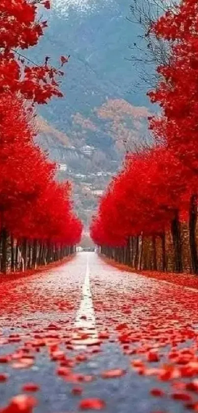 Vibrant red tree-lined path during autumn.