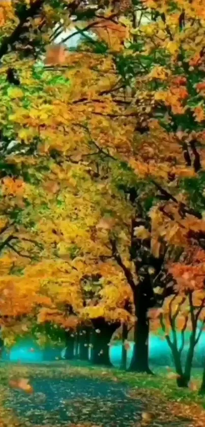 Beautiful autumn tree pathway with vibrant orange leaves.