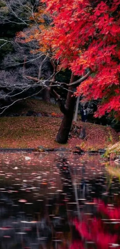 Vibrant autumn tree reflecting in a calm lake, creating a serene mobile wallpaper.